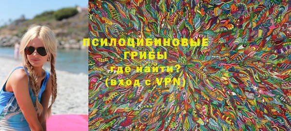 Альфа ПВП Каменка