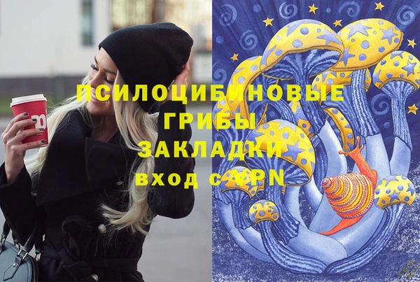не бодяженный Каменногорск
