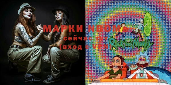 Альфа ПВП Каменка