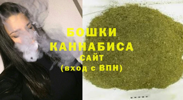 ПСИЛОЦИБИНОВЫЕ ГРИБЫ Инсар