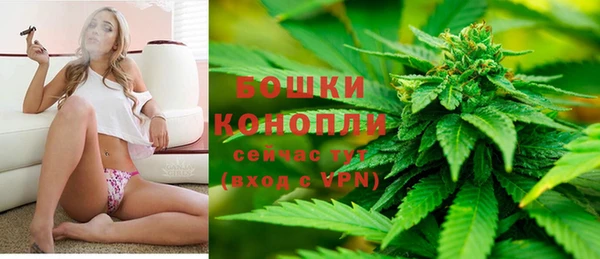 дмт Каменск-Шахтинский