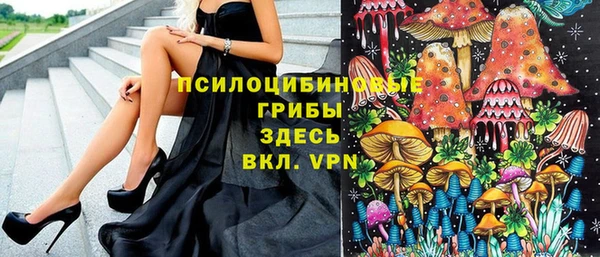 дмт Каменск-Шахтинский